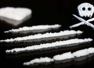 Steroid hormones can modulate cocaine cravings