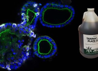 Phytochemical Tannic Acid Inhibits Three Critical Pathways Involved In SARS-CoV-2 Infection