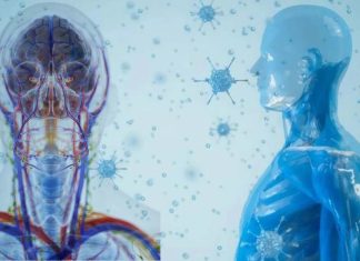 Le persone che soffrono di COVID-19 potrebbero avere diverse varianti di SARS-CoV-2 nascoste dal sistema immunitario in diverse parti del corpo