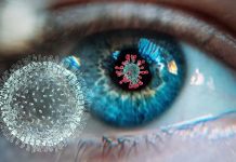 SARS-CoV-2 infects retinal cells