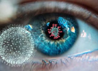 SARS-CoV-2 infects retinal cells