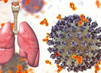 Emerging BA.2 Subvariants Unlike Omicron Attacks Lungs Aggressively