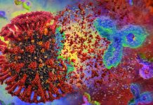 SARS-CoV-2 could be a supernatigen