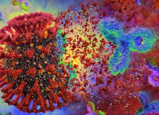 SARS-CoV-2 could be a supernatigen