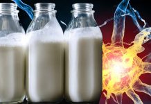 Proteins in cow milk trigger autoimmune responses in those with multiple sclerosis