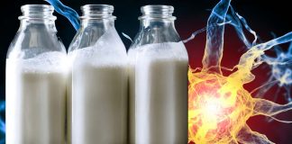 Proteins in cow milk trigger autoimmune responses in those with multiple sclerosis