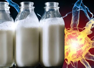Proteins in cow milk trigger autoimmune responses in those with multiple sclerosis
