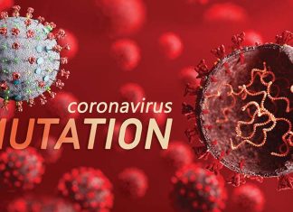 Two consecutive mutations (R203K/G204R) in the nucleocapsid (N) protein are associated with higher viral loads in COVID-19 patients