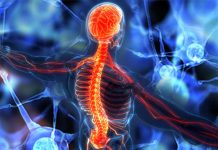 The enzyme ADM-4 as an essential fusogen required for nerve repair