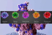 Breakthrough Omicron infections reduces protection against reinfection or infection from future variants