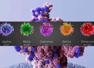 Breakthrough Omicron infections reduces protection against reinfection or infection from future variants