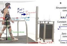 New system for assisted walking exercise therapy