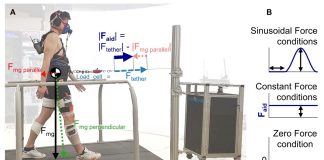 New system for assisted walking exercise therapy