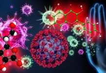Quercetina e Vitamina C: terapia sinergica per la prevenzione e il trattamento della malattia correlata a SARS-CoV-2