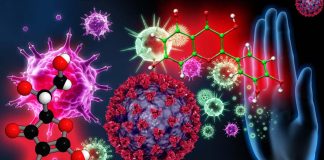 Quercetin and Vitamin C: Synergistic Therapy for the Prevention and Treatment of SARS-CoV-2 Related Disease