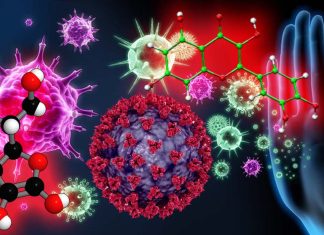 Quercetina e Vitamina C: terapia sinergica per la prevenzione e il trattamento della malattia correlata a SARS-CoV-2