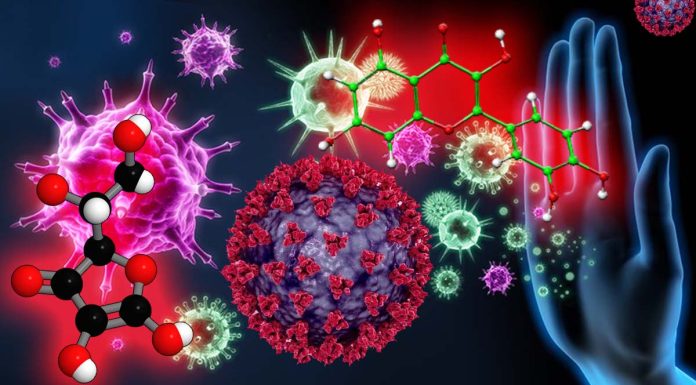 Quercetin and Vitamin C: Synergistic Therapy for the Prevention and Treatment of SARS-CoV-2 Related Disease