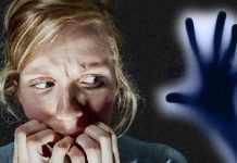 Researchers have identified a new pathway in the brain that plays an important role in our response to fear