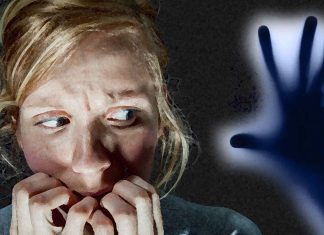 Researchers have identified a new pathway in the brain that plays an important role in our response to fear
