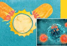 Vitamin D treatment could have positive effects on cancer related fatigue
