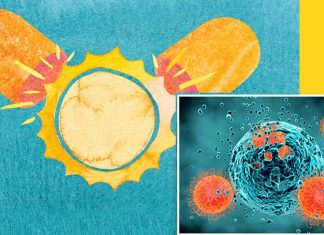 Vitamin D treatment could have positive effects on cancer related fatigue