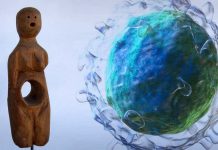 B lymphocytes have significant differences in women with postpartum depression (PPD)