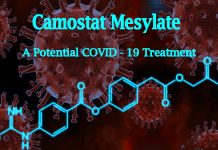 COVID-19: il farmaco camostat mesilato previene la perdita dell’olfatto e del gusto