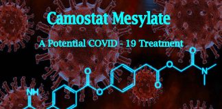 COVID-19: il farmaco camostat mesilato previene la perdita dell’olfatto e del gusto