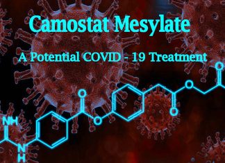 COVID-19: il farmaco camostat mesilato previene la perdita dell’olfatto e del gusto