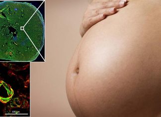 Inhaled nanoparticles found in thousands of common products can cross the placenta during pregnancy