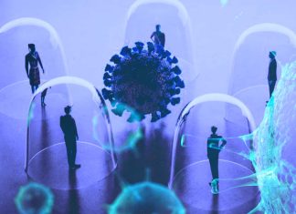 SARS-Cov-2: PreS-RBD vaccine induces multi-variant sterilizing immunity