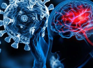 SARS-CoV-2 Infections Can Lead To Brain Inflammation – Hypoxia / Bleeding And Strokes