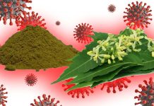 L’estratto di foglie di Azadirachta indica (Neem) è un potenziale trattamento anti-Covid-19 … e non solo