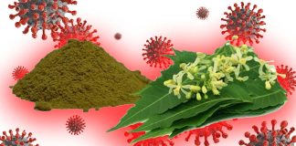 L’estratto di foglie di Azadirachta indica (Neem) è un potenziale trattamento anti-Covid-19 … e non solo