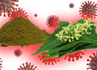 L’estratto di foglie di Azadirachta indica (Neem) è un potenziale trattamento anti-Covid-19 … e non solo