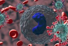 Mild SARS-CoV-2 Infections Causes Transcriptional Reprogramming Of The Host’s CD14+ Monocytes Resulting In Dysfunctional Monocytes