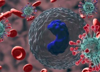 Mild SARS-CoV-2 Infections Causes Transcriptional Reprogramming Of The Host’s CD14+ Monocytes Resulting In Dysfunctional Monocytes