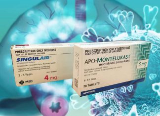 The Asthma Drug Montelukast (Singulair) Can Inhibit SARS-CoV-2 Replication