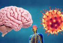 Researchers have shown in detail how COVID-19 affects the central nervous system