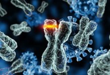 SARS-CoV-2 Could Be Carcinogenic