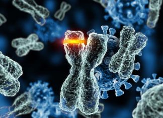 SARS-CoV-2 Could Be Carcinogenic