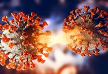 SARS-CoV-2 Is Evolving Rapidly Due To Human Host Factors