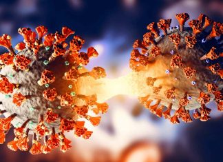 SARS-CoV-2 Is Evolving Rapidly Due To Human Host Factors