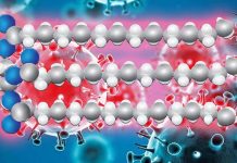 SARS-CoV-2 Impairs Lipid Metabolic And Autophagic Pathways Causing Damage To Heart – Liver and Kidneys