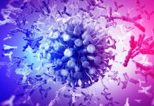Genetic Variants Of The Host CD16a Antibody Receptor Are Associated With The Risk Of Severe COVID-19