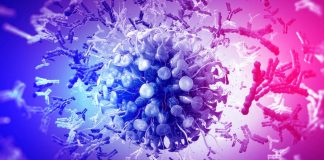 Genetic Variants Of The Host CD16a Antibody Receptor Are Associated With The Risk Of Severe COVID-19