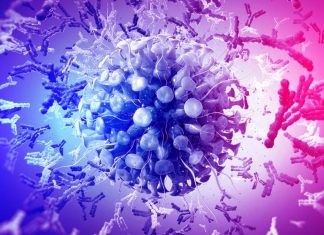 Genetic Variants Of The Host CD16a Antibody Receptor Are Associated With The Risk Of Severe COVID-19