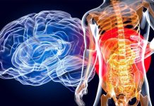 Concussion alters the gut microbiome