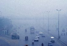Environmental pollutants affect health and contribute to the development of type 1 diabetes