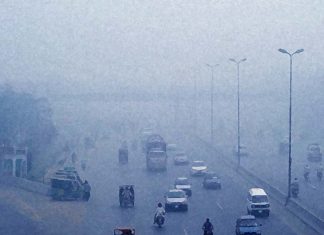 Environmental pollutants affect health and contribute to the development of type 1 diabetes